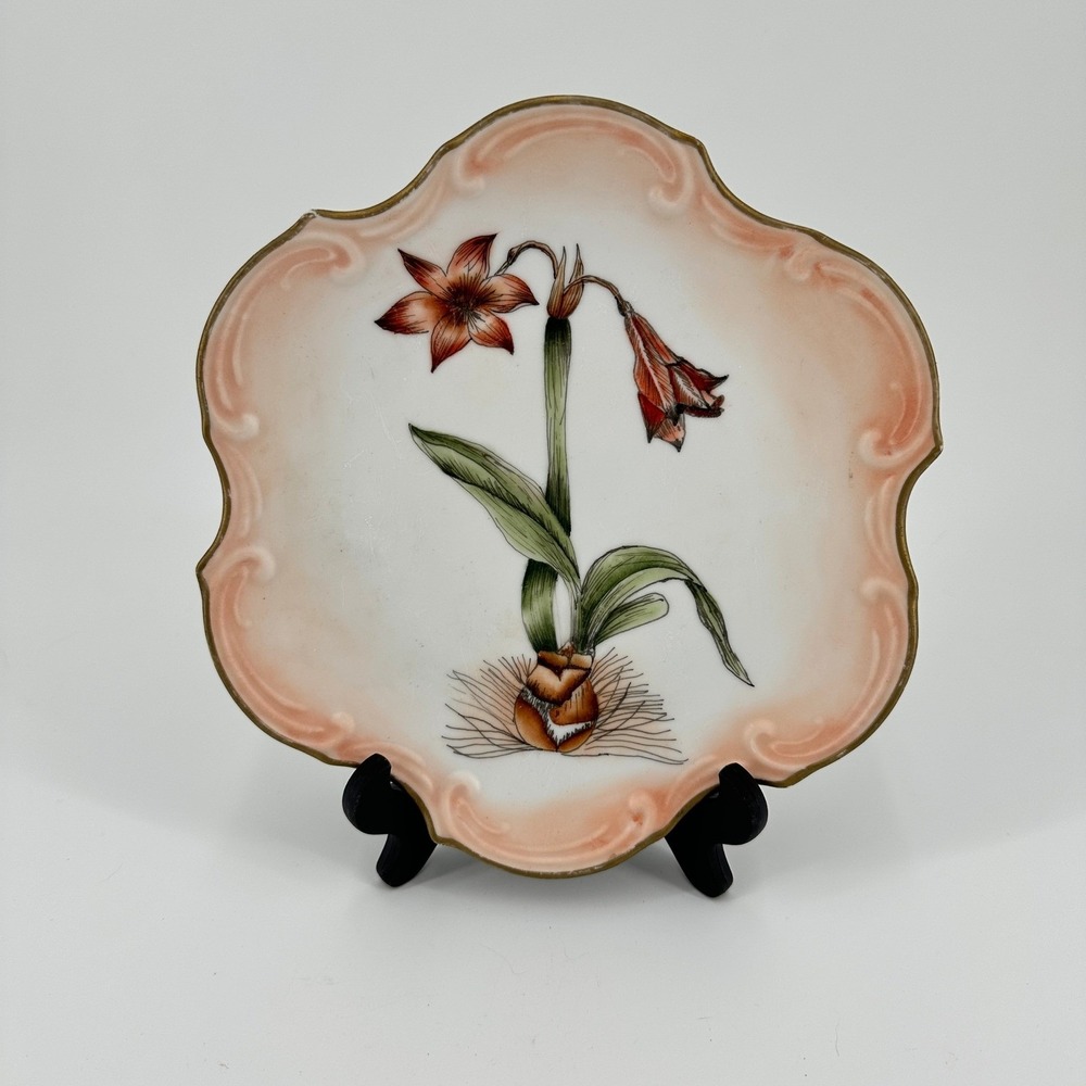 Haas & Czjzek Handmade Fine Porcelain Amaryllis Botanical Scalloped Plate 8in